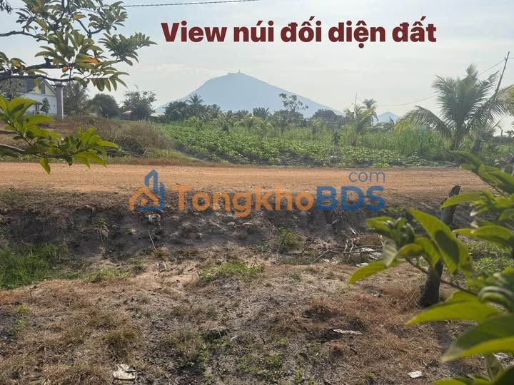 Đất Nền Cần Giuộc 1000m² - Sổ Hồng Sẵn, View Núi Xinh Đẹp