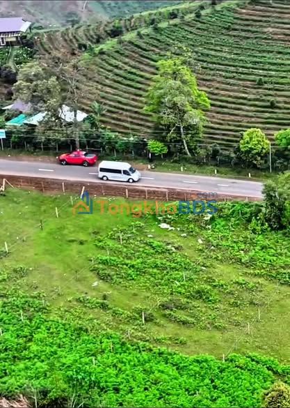 Đất nền Măng Đen 500m² mặt QL24 - View đồi chè đẹp như Đà Lạt