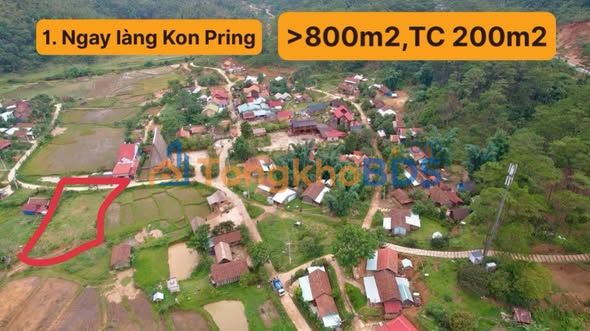 Cho thuê đất Măng Đen vị trí đắc địa, giá ưu đãi