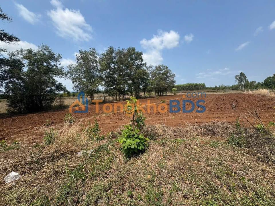 Đất nền Bình Trung Châu Đức 2.160m² 2.5 tỷ - Đường ô tô lớn