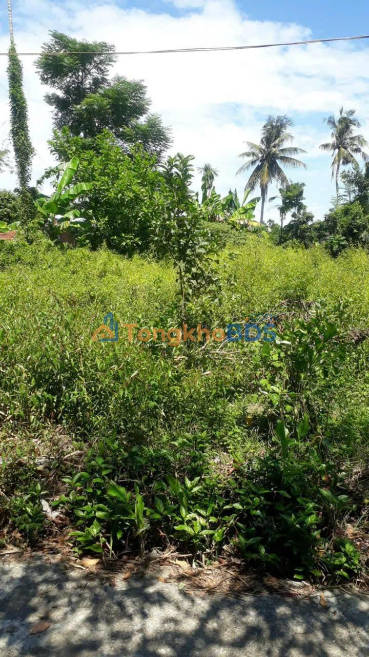 Bán Đất Tam Kỳ 123m² - Gần Quốc Lộ, Sổ Đỏ Sẵn Sàng