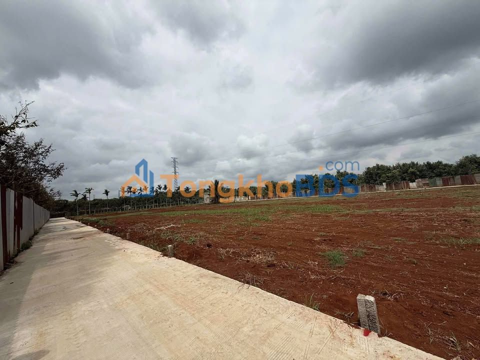 Đất thổ cư 125m² Krông Pắc, Đắk Lắk - Sổ đỏ chính chủ, đường bê tông đẹp