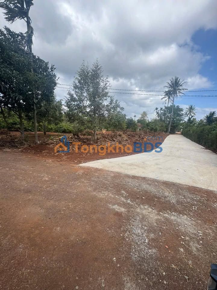 Đất Nền Sổ Đỏ Gần Hồ Ea Chu, Krông Búk - Giá Chỉ Từ 850 Triệu