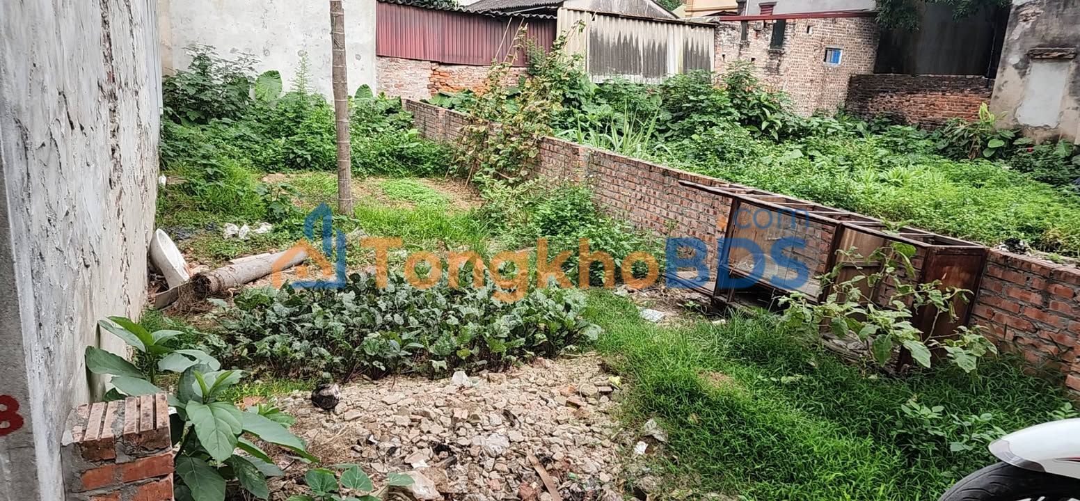 Đất nền Dương Quang, Gia Lâm 58.7m² - Sổ đỏ sẵn sàng