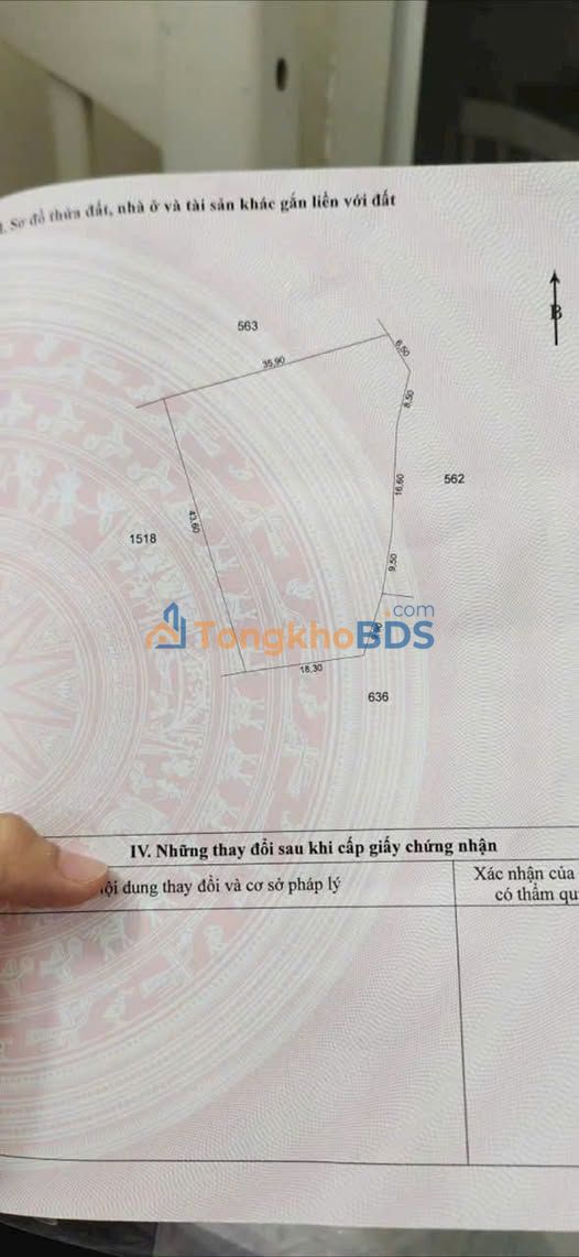 Bán Đất Nền Tiền Giang 1300m² Giá 400 Triệu - Sẵn Sổ Hồng