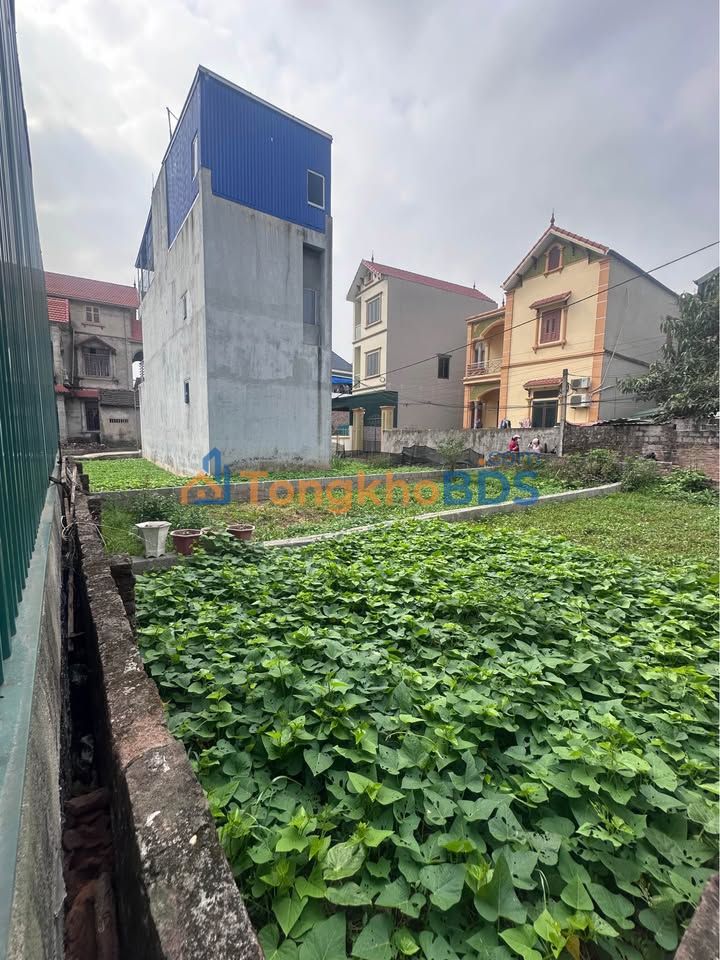 Bán đất đường Thông, Hoàn Kiếm 45m² - Ô tô ngủ trong nhà, giá tốt