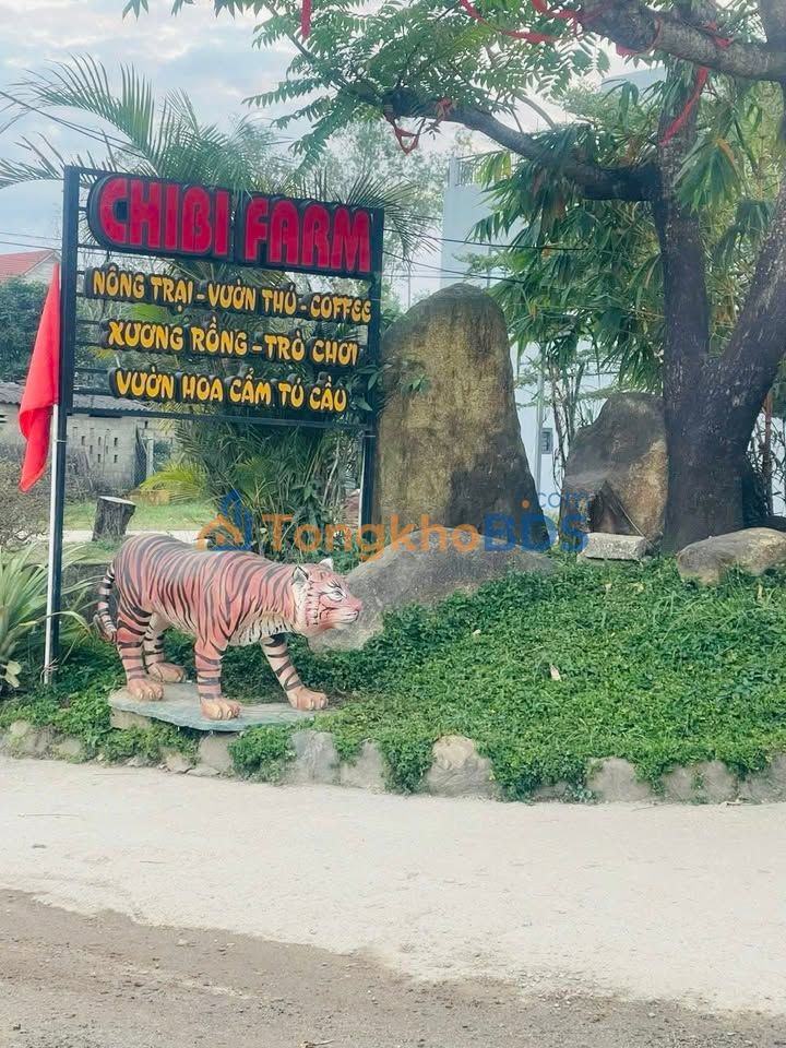 Đất nền kiệt ô tô Nguyễn Viết Xuân, Huế - 85.4m² - Sổ đỏ sẵn sàng