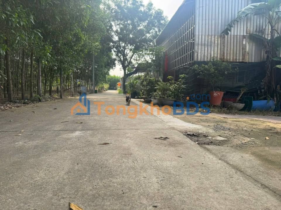 Bán Đất Tân Phước Bà Rịa - Vũng Tàu 535m² Giá 800 Triệu