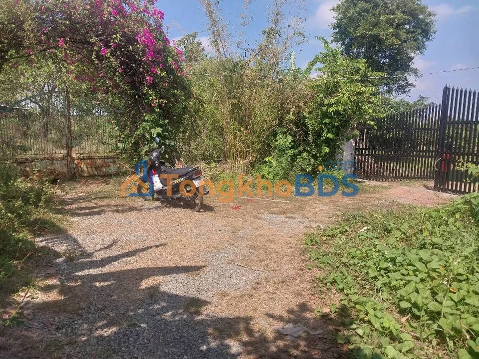 Trang trại Long Phước 4.700m² 7.05 tỷ - Sổ hồng rõ ràng