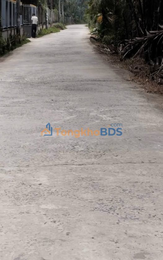 Bán Gấp Đất 1000m² Xã Tân Thành Bình, Bến Tre - Đường Xe Tải