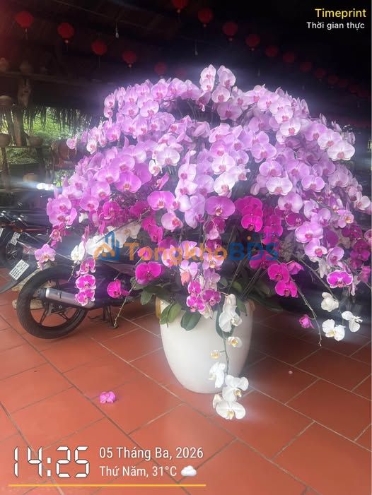 Mặt bằng kinh doanh P. Rạch Dừa, Vũng Tàu - Giá 7tr/tháng