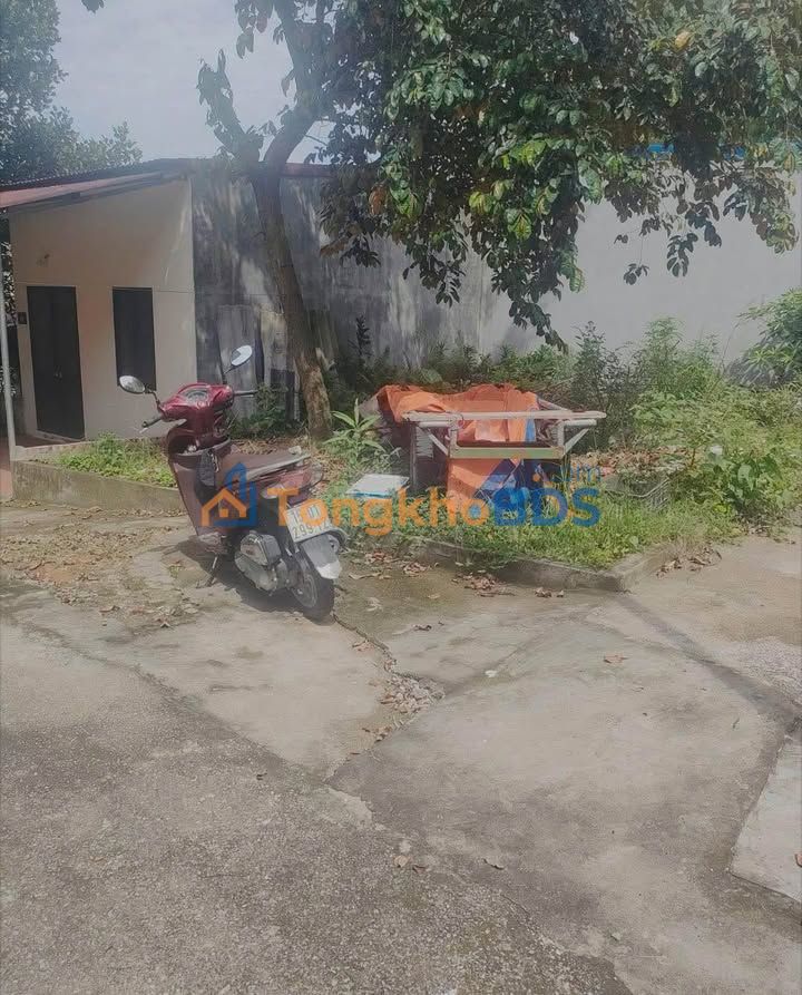 Đất nền Trần Thành Ngọ, Kiến An 48m² 9xx triệu - Sổ đỏ chính chủ