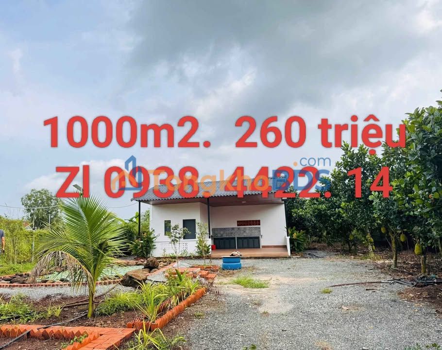 Đất Vườn 1000m² Sổ Hồng Sẵn Gần Chợ Chơn Thành - Giá Đầu Tư 260 Triệu