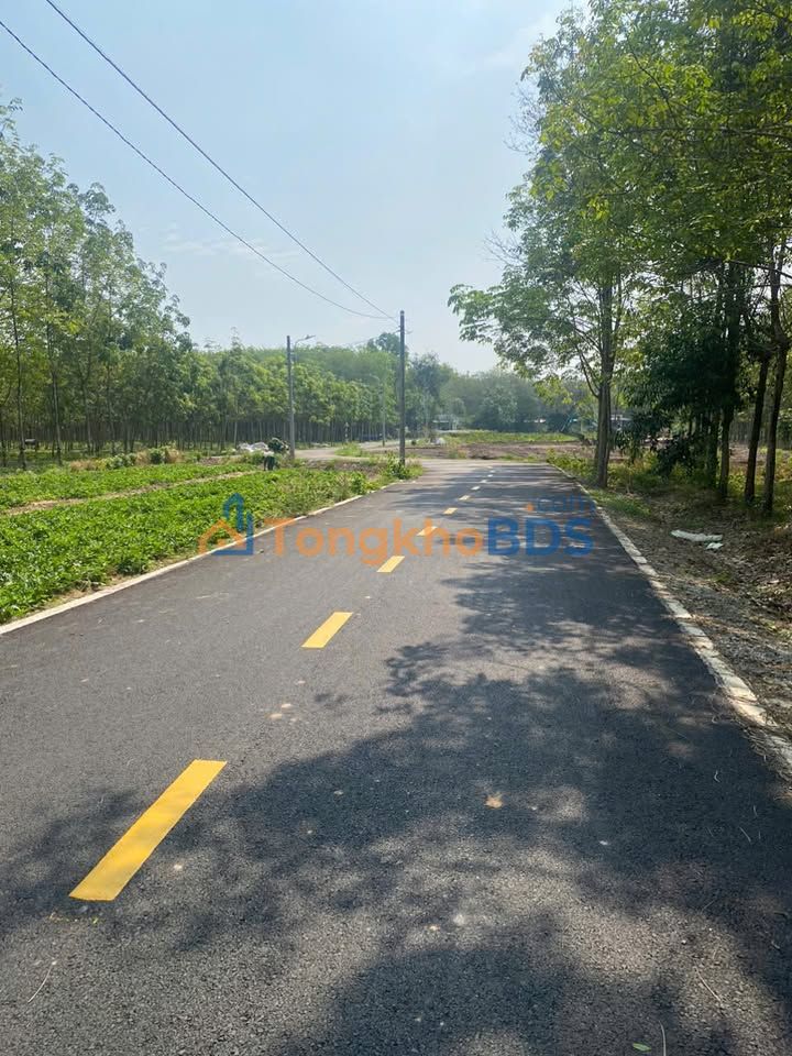 Đất nền Richland Kim Oanh Bến Cát 100m² 1 tỷ - Sổ đỏ chính chủ