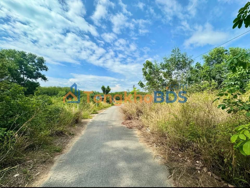 Dat Phu An Ben Cat 915m2 3.2 ty - So do chinh chu