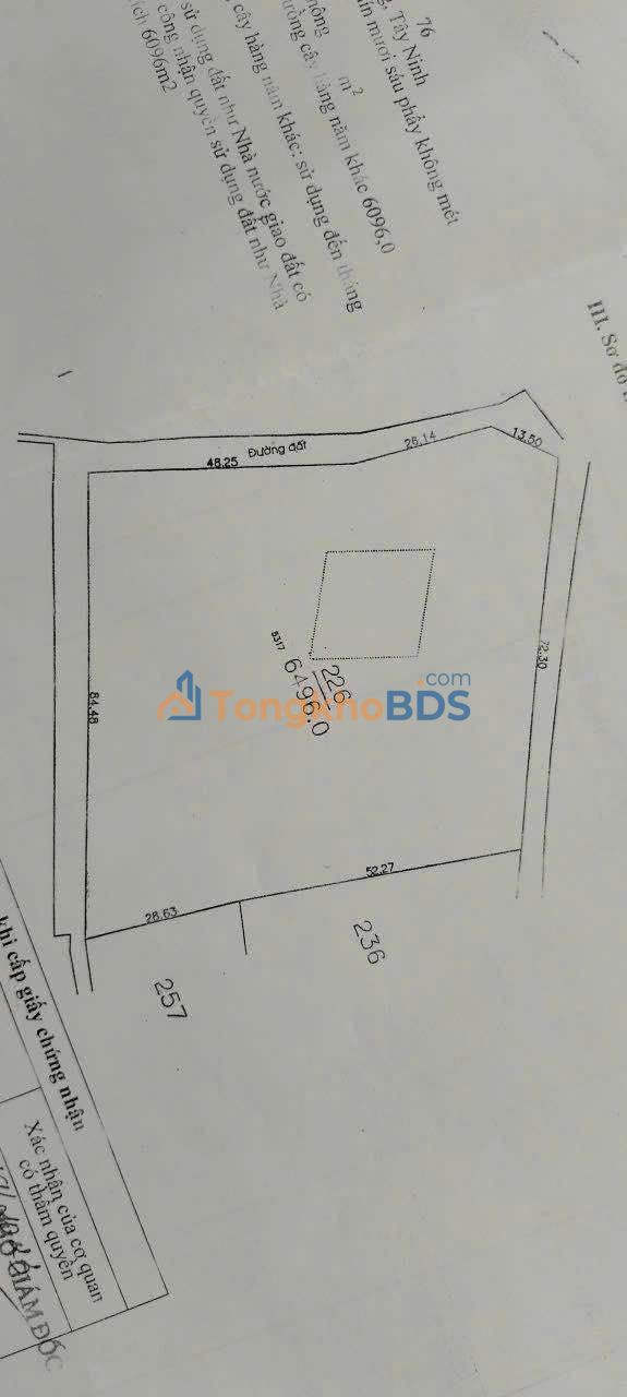 Đất nền Đôn Thuận Trảng Bàng 6.500m² - Hạ tầng hoàn thiện