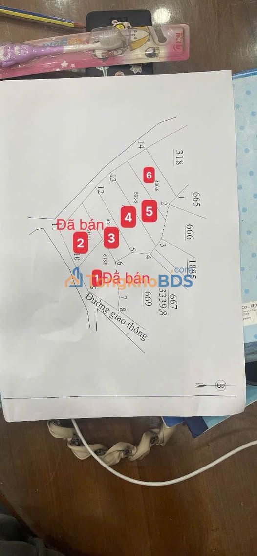 Đất Vườn 450m² Tân Cương, Thái Nguyên - Giá chỉ từ 1 tỷ - Sẵn Sổ Hồng