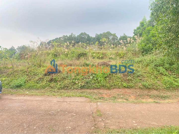 Đất nền Phúc Xuân - 306m² - Hơn 1 tỷ - Sổ đỏ sẵn sàng