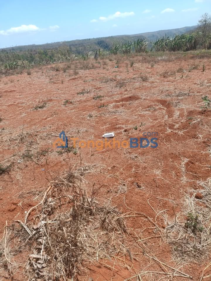 Đất Nền 2160m² Huyện Mang Yang, Gia Lai - Giá Đầu Tư 130 Triệu