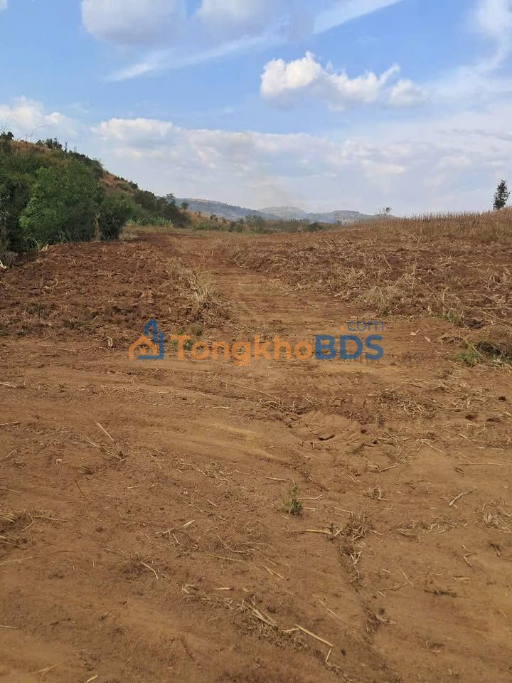 Đất nền Ia Pia Gia Lai 1,5ha 500 triệu - Đầu tư dài hạn