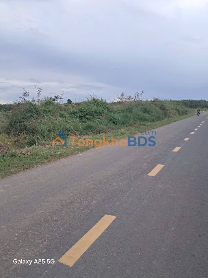 Đất Nông Nghiệp Mặt Tiền ĐT 671, Đăk Đoa, Gia Lai - 15.000m² Giá Tốt