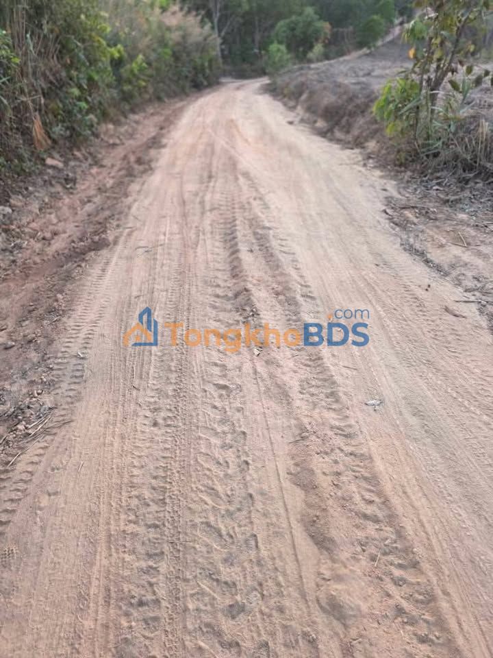 Bán Gấp Đất Nông Nghiệp 2.5ha Đăk Sơmei, Gia Lai - View Hoàng Hôn Cực Chill