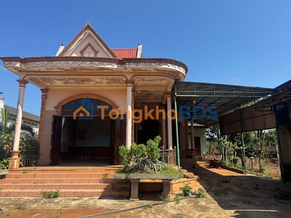 Đất Vàng Mặt Tiền Chư Sê - 855m² - Sổ Đỏ Thổ Cư - Đầu Tư Sinh Lời