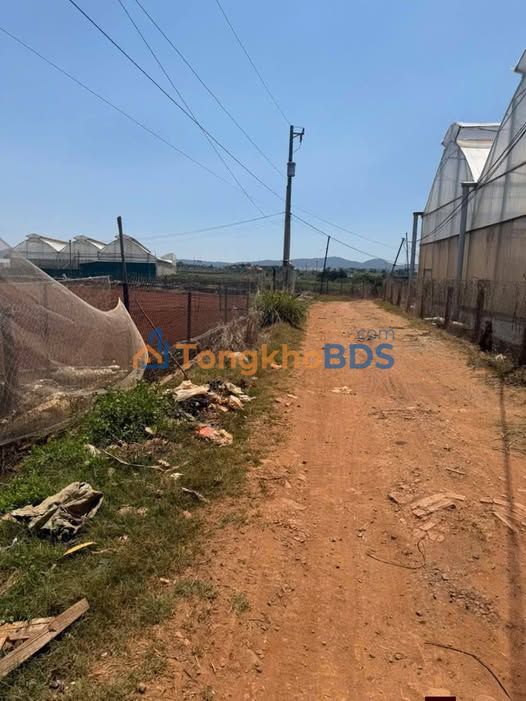 Đất nền Liên Nghĩa 1.656m² 9.5 tỷ - Tiềm năng tăng giá