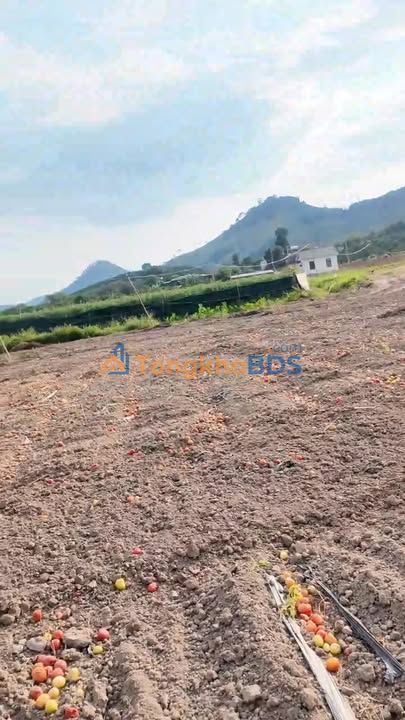 Đất nền Đạ K' Nàng 11.000m² 3.65 tỷ - Sổ đỏ chính chủ