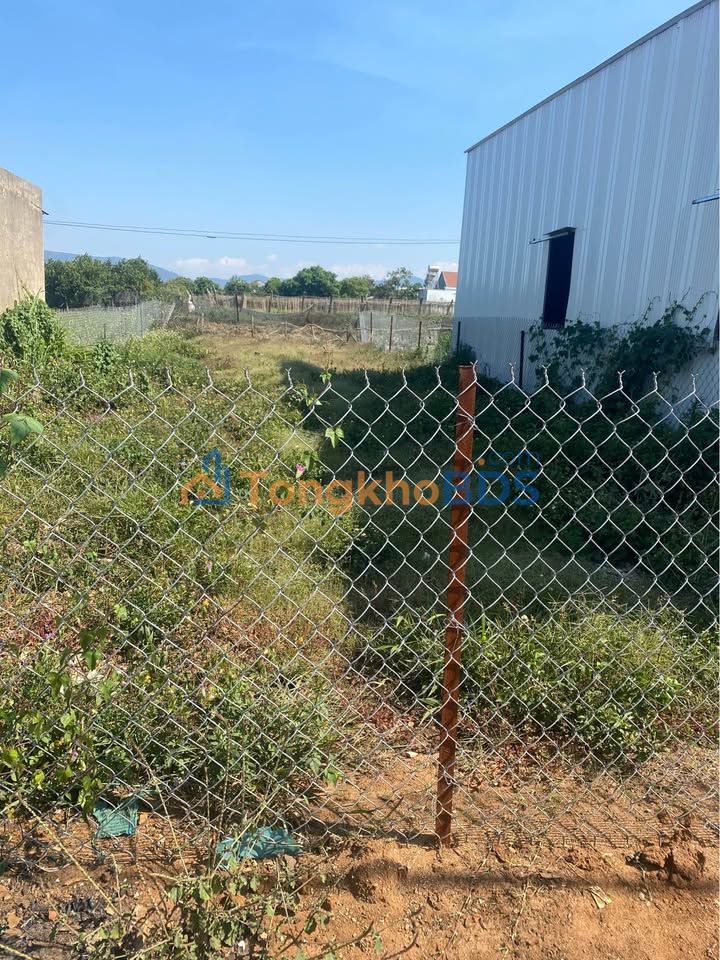 Bán Đất Nền Quảng Lập, Đơn Dương - 196m² Sổ Hồng Sẵn Sàng