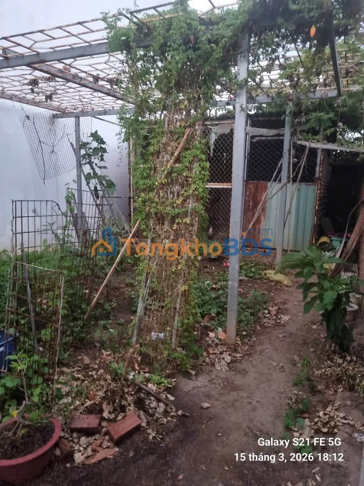 Đất Bình Giã Châu Đức 60m² 650 triệu - Sổ đỏ chính chủ