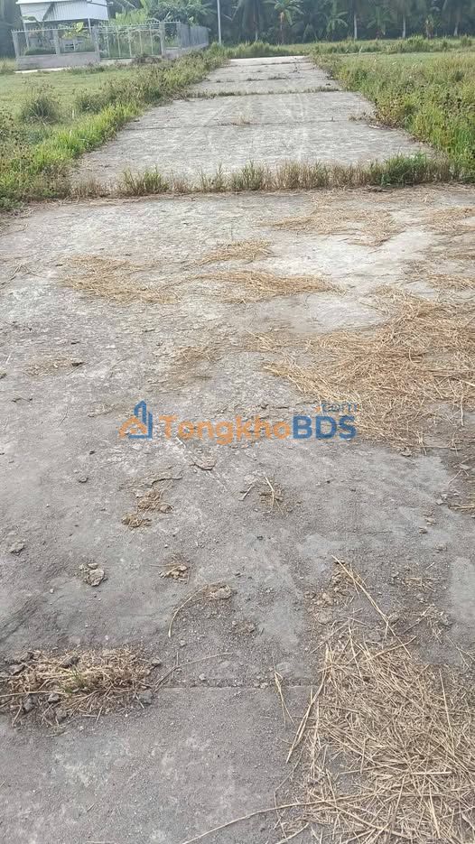 Bán Gấp Đất Nền Giồng Trôm, Bến Tre - 528m² - Giá Tốt 399 Triệu