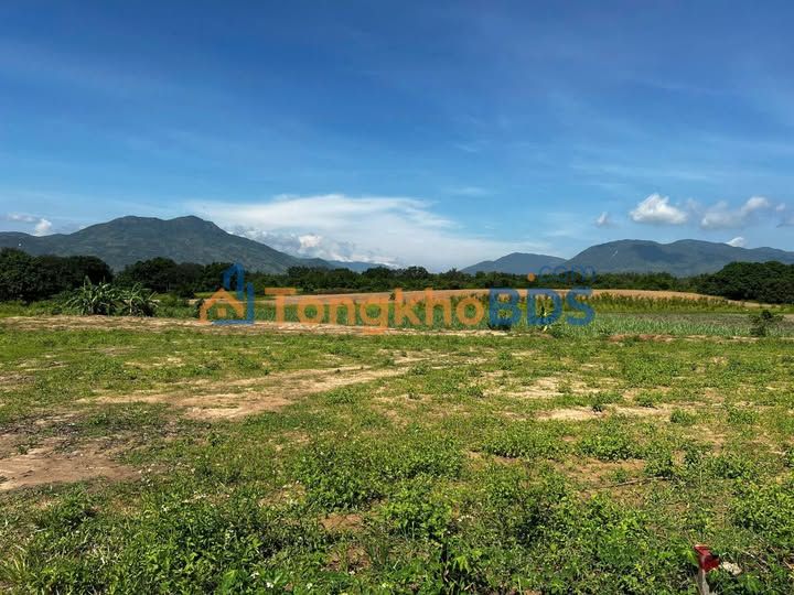 Bán Đất Vườn Cam Lâm 10.408m² Sổ Đỏ Chính Chủ - Giá 4 Tỷ