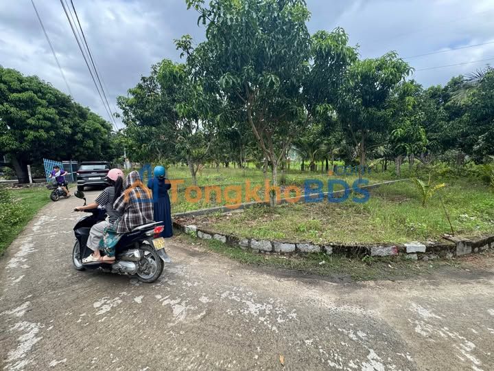 Đất nền Cam Tân, Cam Lâm 90m² - Giá chỉ hơn 500 triệu/lô, full thổ