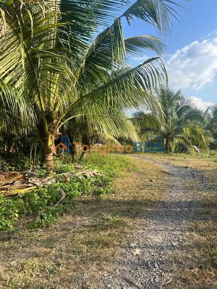 Đất vườn Diên Thọ Diên Khánh 23.475m² - Đầu tư dài hạn