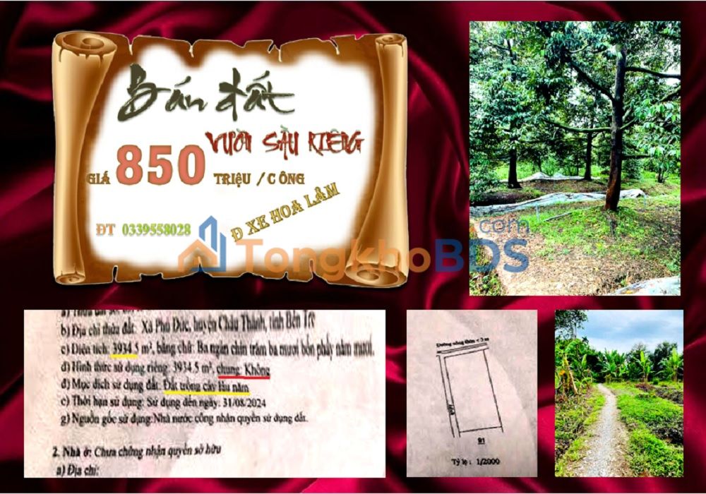 Bán Gấp Vườn Sầu Riêng 3900m² Châu Thành, Bến Tre - Sổ Riêng