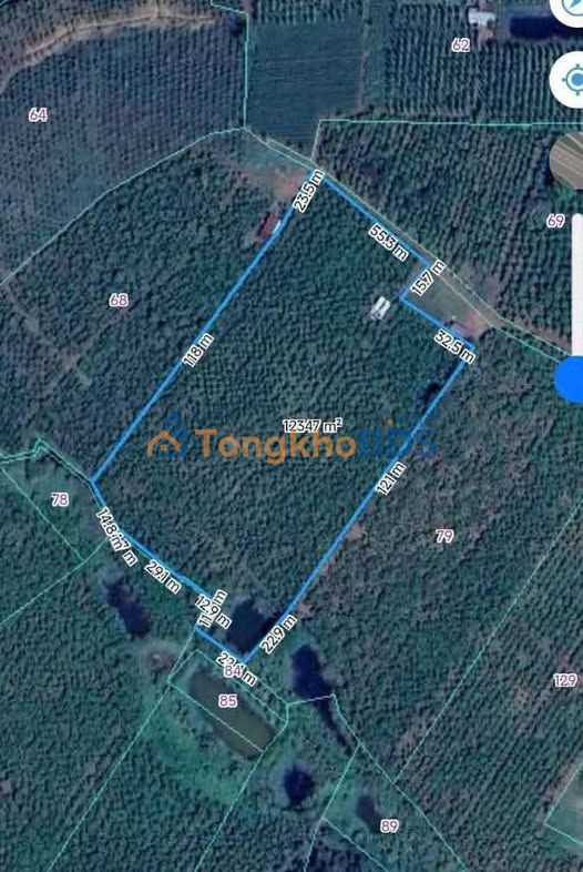 Bán Gấp Đất Vườn Lộc Ngãi 1.3ha - Sổ Đỏ, Ao Mênh Mông, Giá Tốt