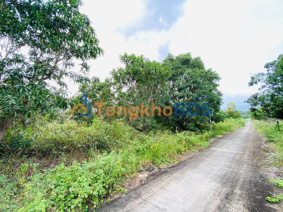 Đất nền Cam Tân Cam Lâm 210m² 1 tỷ - Sổ đỏ chính chủ