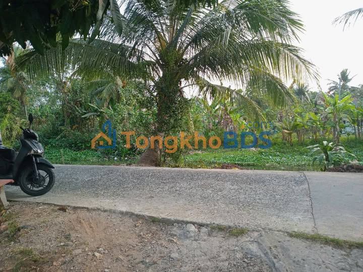 Đất 4504m² 2 Mặt Tiền Rạch Chuối, Cần Thơ - Tiềm Năng Phân Lô, Dự Án Lớn