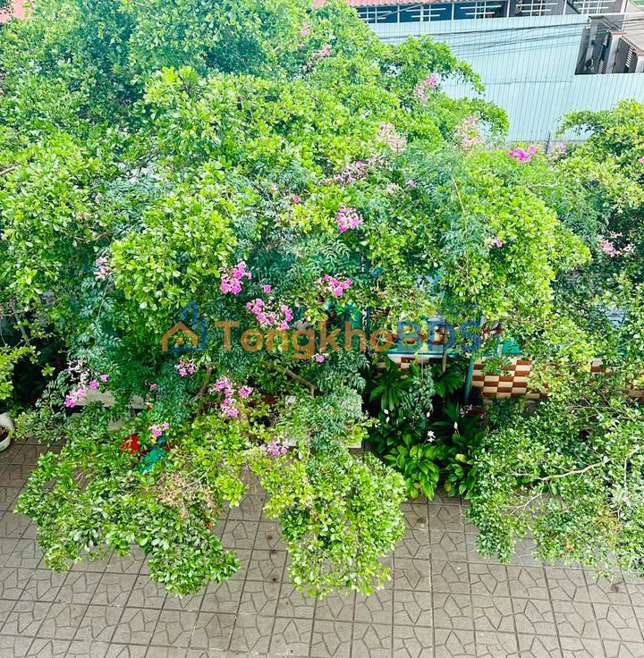 Đất nền Pleiku Hẻm 83 Đường 17/3 85m² 800 triệu - Thổ cư 100%