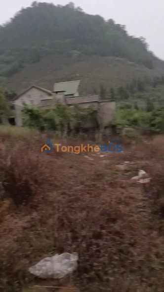 Đất nền Hòa Bình 5000m² - Sổ hồng chính chủ, view cao thoáng, đường ô tô