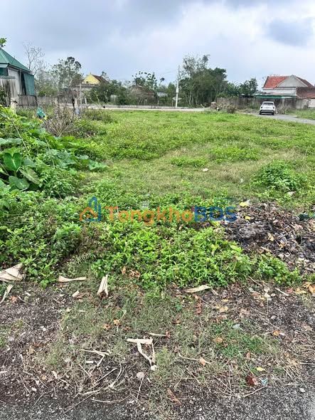 Bán Đất Thổ Cư 150m² Nghi Trường, Nghệ An - Giá Tốt Đầu Tư