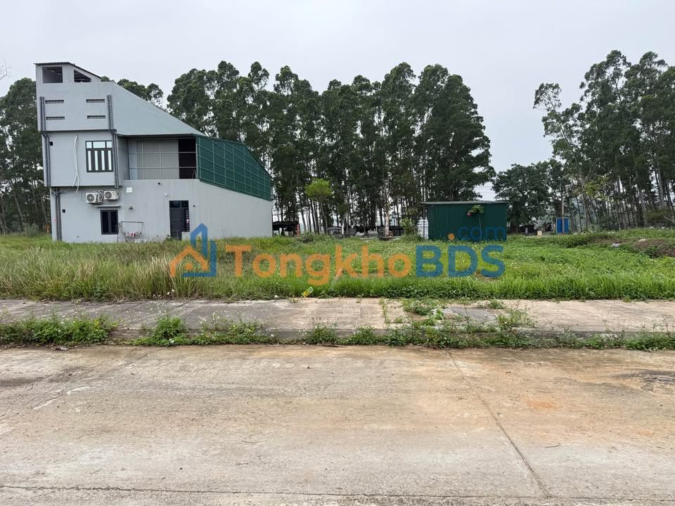 Đất nền Tam Đảo 100m² 1.5 tỷ - Sổ đỏ chính chủ