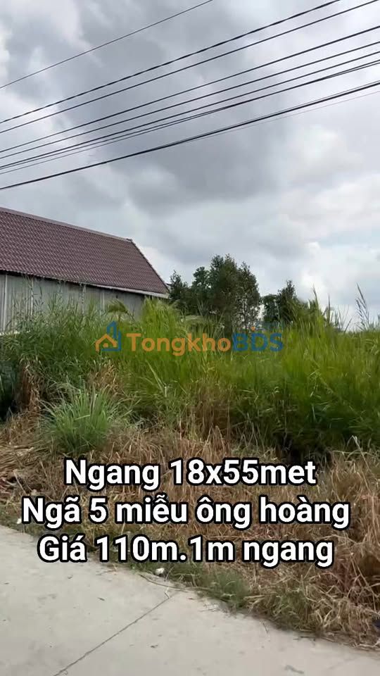 Bán Nền 9900m² Mặt Tiền Lộ Đal An Minh, Kiên Giang - Kinh Doanh Sầm Uất