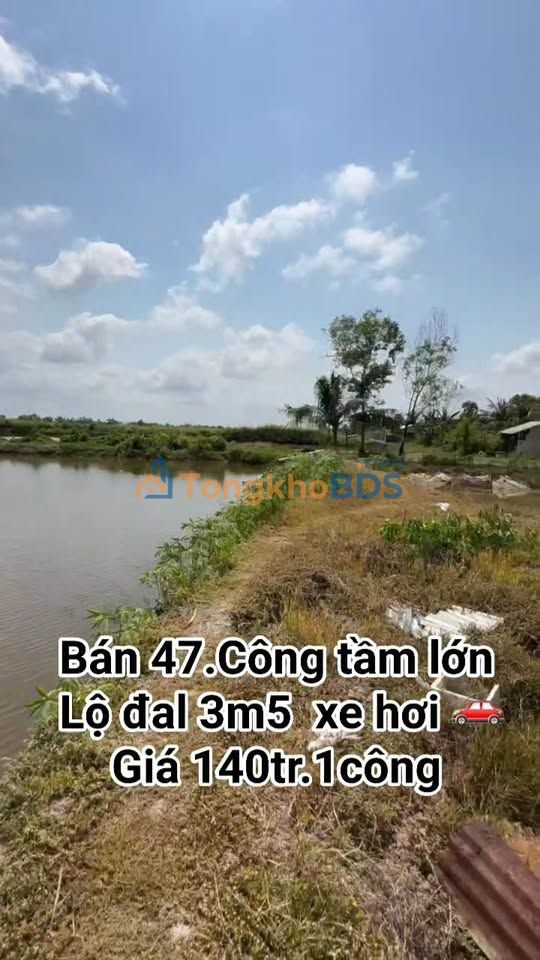 Đất Nền Rộng 47.000m² Xã Đông Hưng B, Kiên Giang - Sổ Hồng Riêng