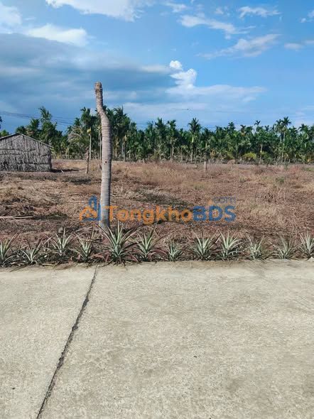 Bán Đất Nền Lộ Chất Kha, Kiên Giang - 150m² Full Thổ Cư, Giá Đầu Tư