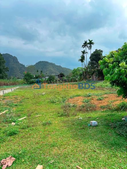 Đất nền Kim Bôi 1000m² sổ đỏ - Đầu tư sinh lời tiềm năng