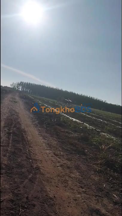 Đất nền Suối Rao 70.000m² 1 tỷ - Tiềm năng tăng giá