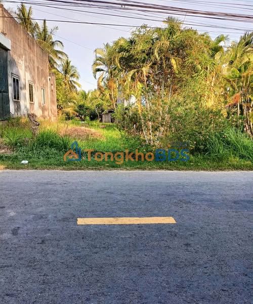 Đất nền MT Lộ nhựa Châu Hoà, Giồng Trôm - 273m² - Sổ đỏ, Giá 1.1 tỷ
