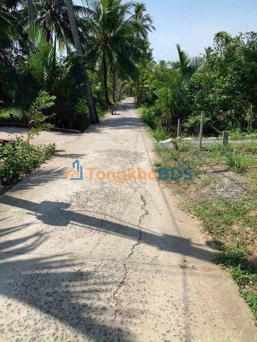 Đất Vĩnh Long 402m² Sổ Hồng - Gần Quán Lý Thông, Chia 2 Nền